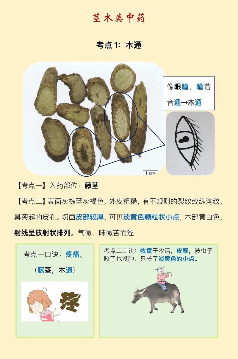 泰印度代购希爱力是真的吗？避坑指南与正品鉴别全攻略